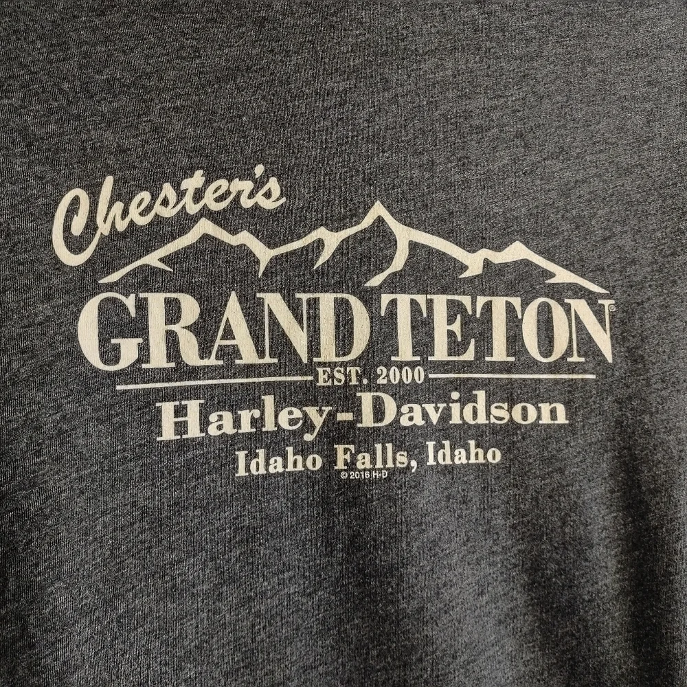 Harley-Davidson Women's Gray V-Neck  Embellished Cross Shortsleeve T-shirt Sz L